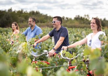 Vélo dans les vignes Domaine de Mourat