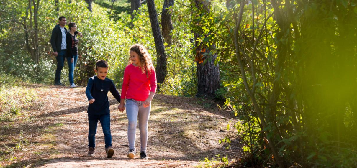Balade en famille en forêt à la barre de monts