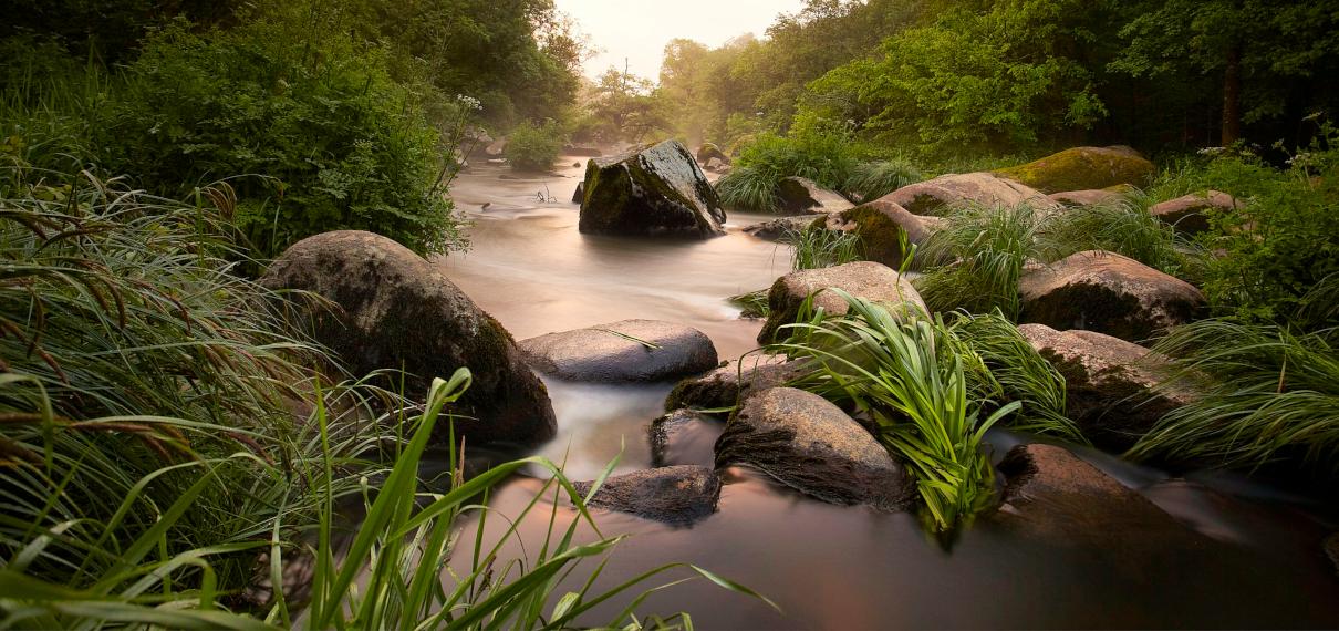 Bocage La Roche sur Yon Bocage La Roche sur Yon