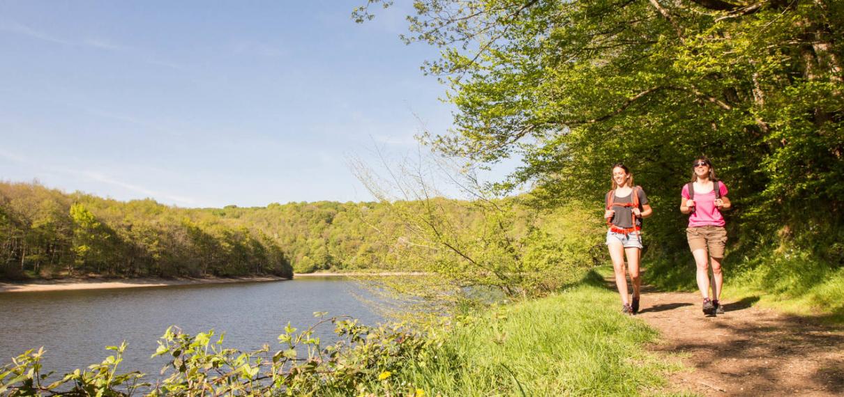 Randonnée pédestre dans la forêt de Mervent Randonnée pédestre dans la forêt de Mervent