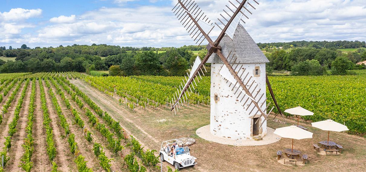 Domaine de Mourat à Mareuil sur Lay