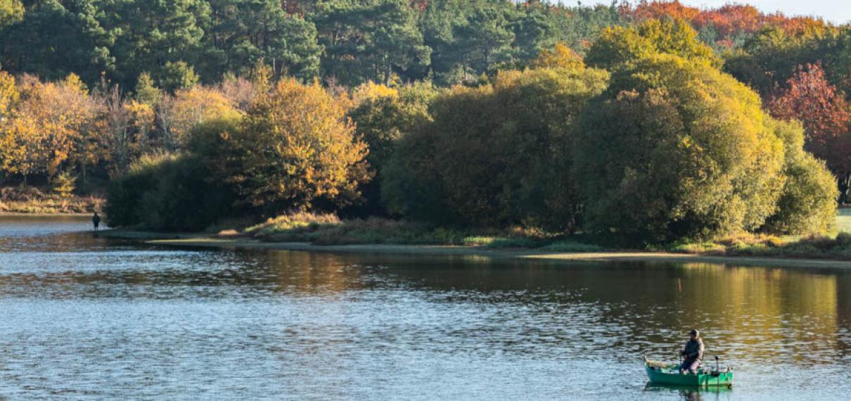 Pêche sur le lac du Jaunay Pêche sur le lac du Jaunay