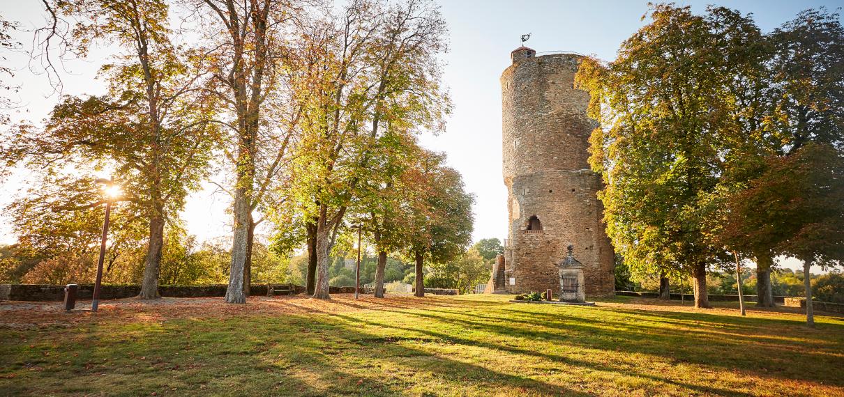 Château de Vouvant