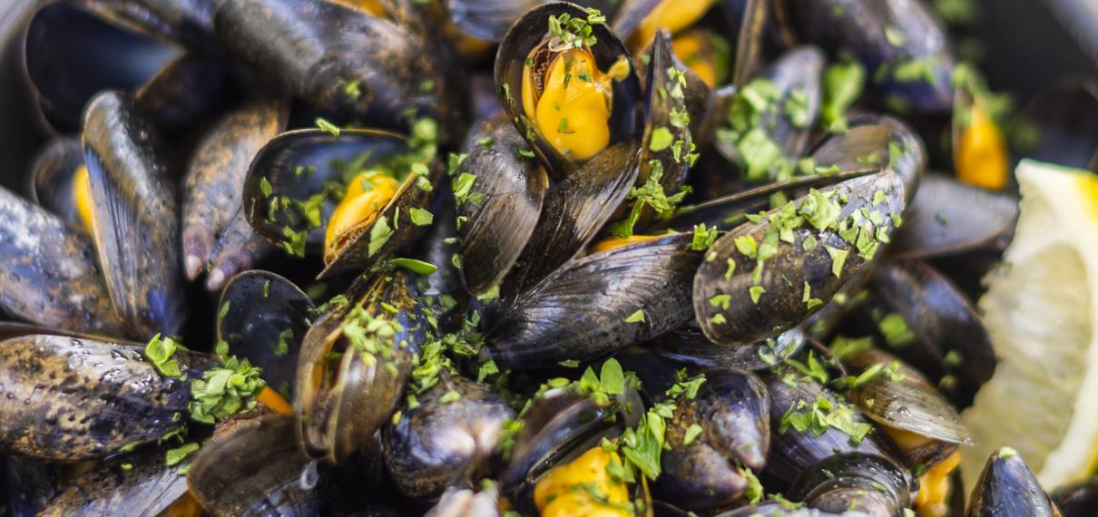 Moules de Vendée moules vendee