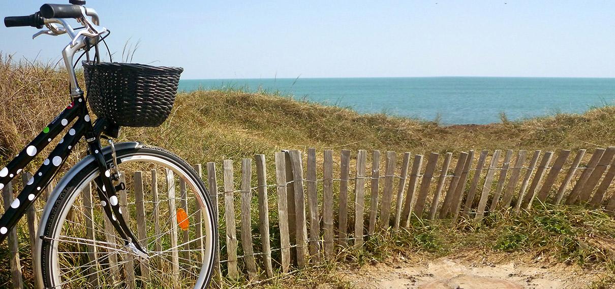 Véloo de la Forêt à Olonne-sur-Mer Véloo de la Forêt à Olonne-sur-Mer