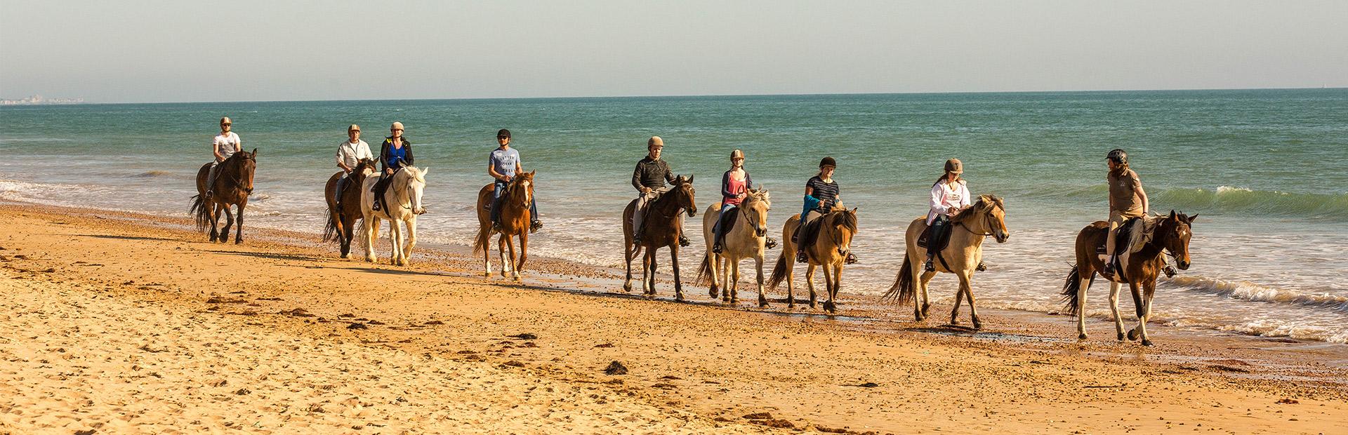 Balade à cheval sur les plages de Saint Jean de Monts Balade à cheval sur les plages de Saint Jean de Monts