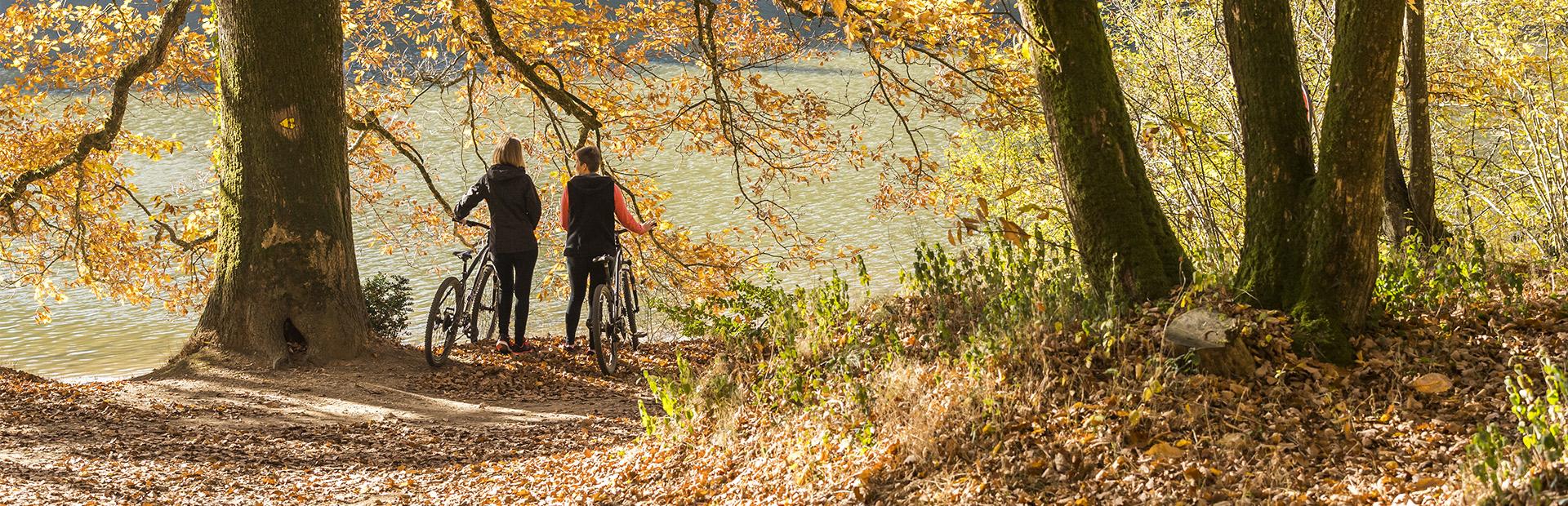 Vélo dans la forêt de Mervent Vélo dans la forêt de Mervent