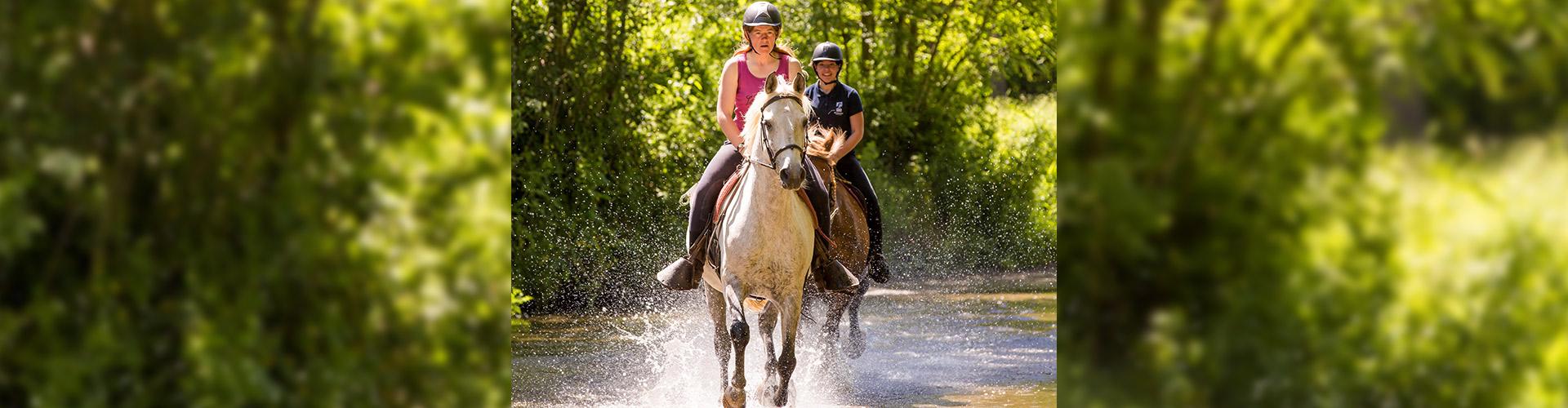 Ferme des longs crins à Saint Florent des bois