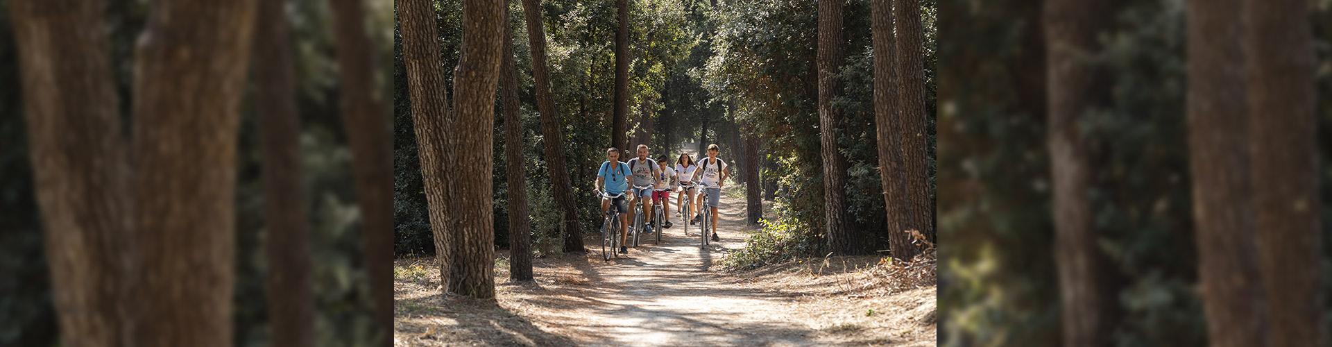 Vélo à La Faute sur Mer