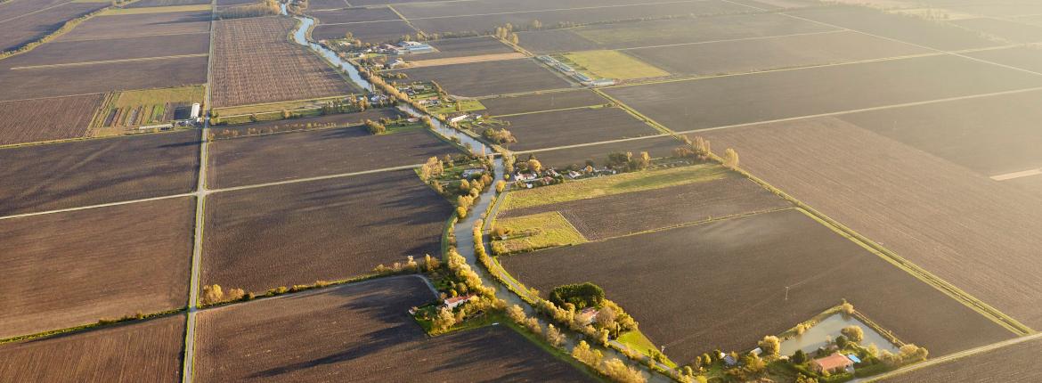Vue aerienne du marais poitevin Vue aerienne du marais poitevin