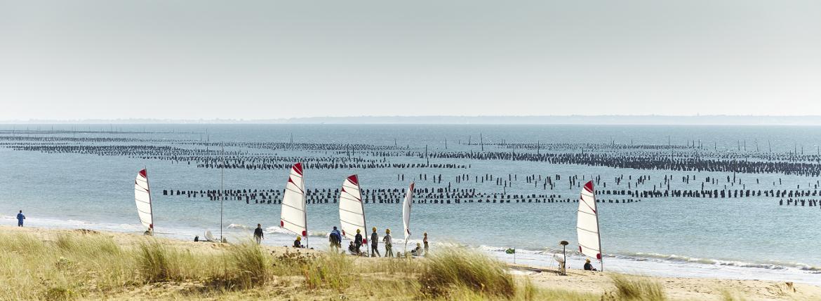Bouchots de la Baie de l'Aiguillon moules bouchots aiguillon sur mer vendee