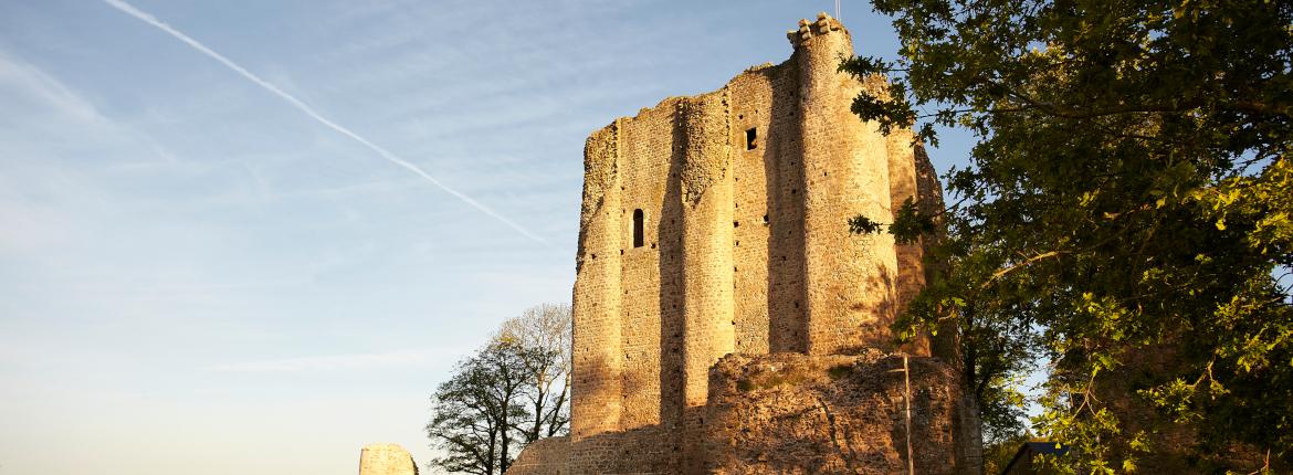 Château de Pouzauges Château de Pouzauges