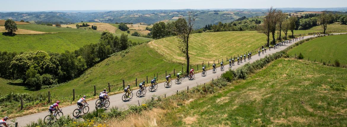Peloton lors d'une étape du Tour de France Peloton lors d'une étape du Tour de France