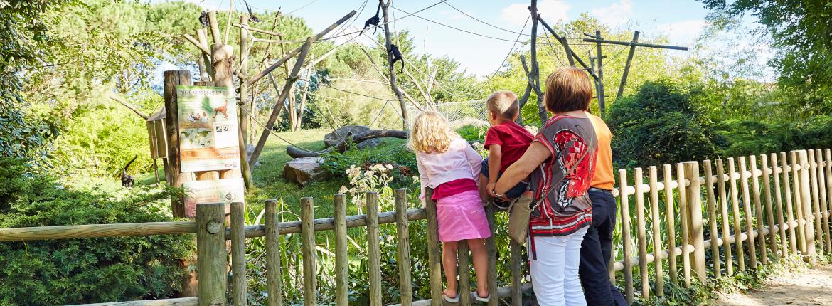 Zoo des Sables D'Olonne en famille Zoo des Sables D'Olonne en famille