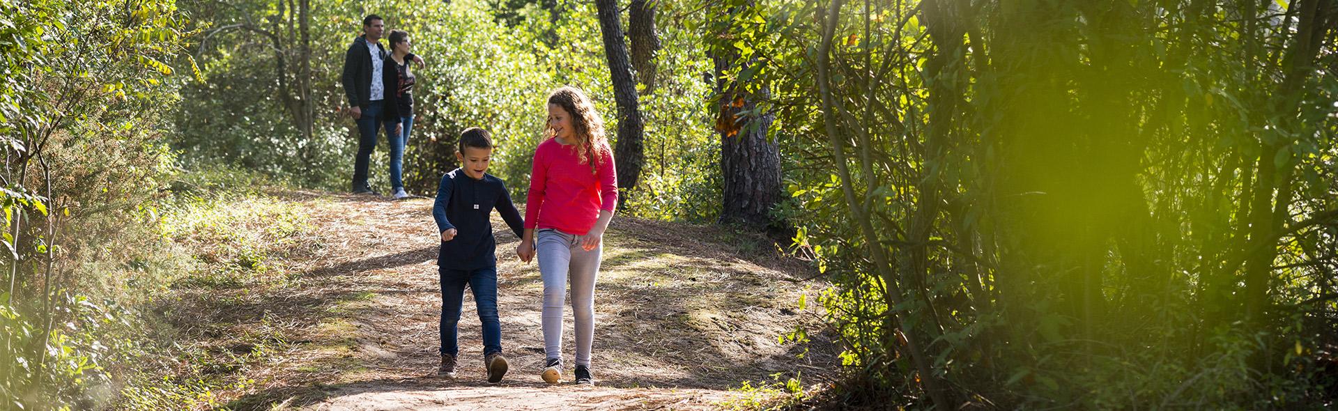 Balade en forêt à La Barre de Monts Balade en forêt à La Barre de Monts