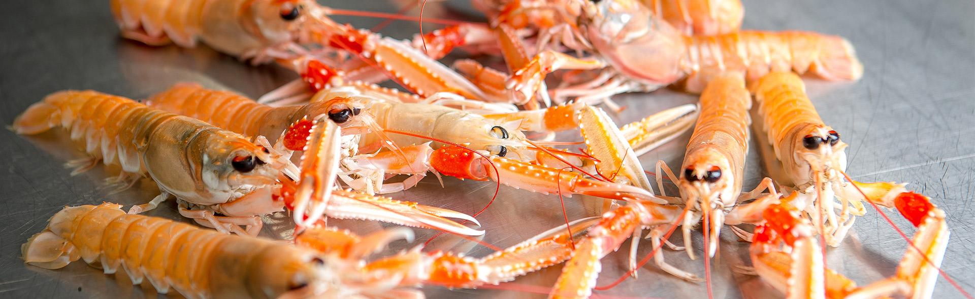 Crevettes au Restaurant La Marine à Noirmoutier Crevettes au Restaurant La Marine à Noirmoutier