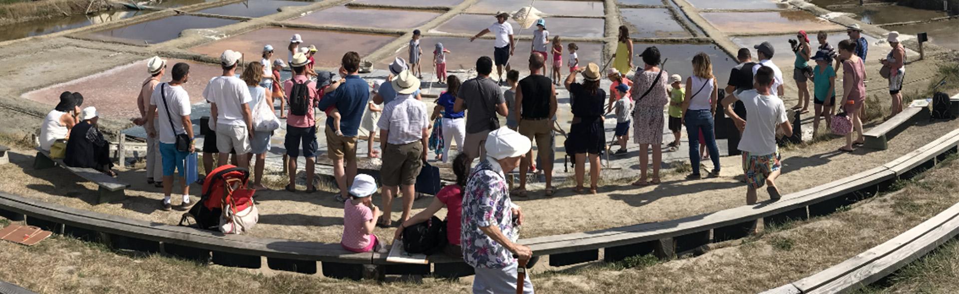 Les marais salants aux Sables d'Olonne Les marais salants aux Sables d'Olonne
