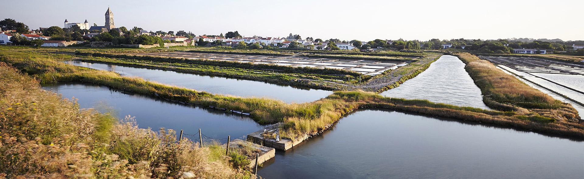 Marais salants de la jetée Jacobsen à Noirmoutier Marais salants de la jetée Jacobsen à Noirmoutier