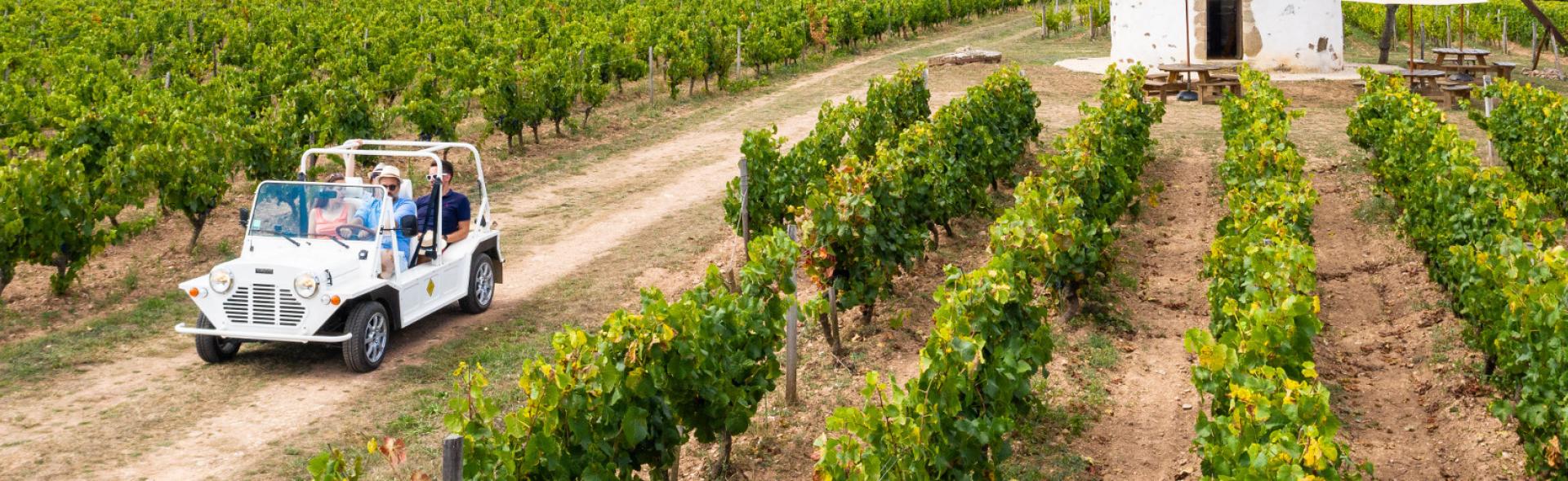 Domaine Mourat à Mareuil sur Lay Domaine Mourat à Mareuil sur Lay