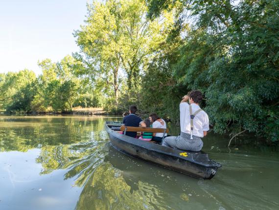 Balade en barque marais poitevin Maillezais Balade en barque marais poitevin Maillezais
