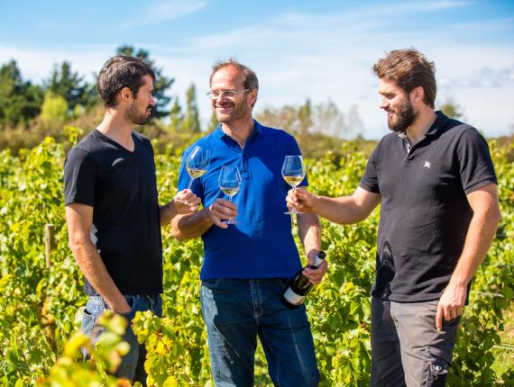 Domaine saint nicolas Domaine saint nicolas