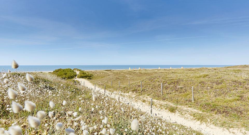 Dunes de Notre Dame de Monts Dunes de Notre Dame de Monts