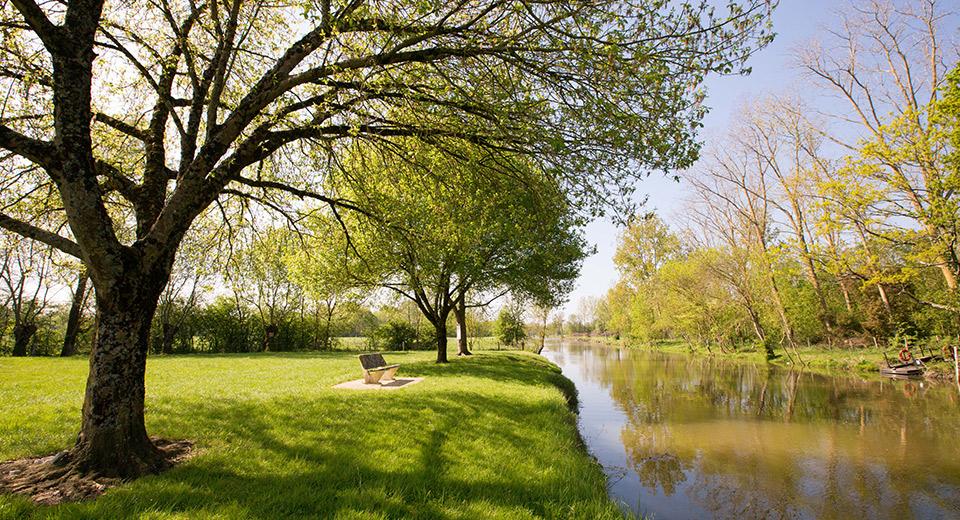 Aire de pique-nique au Marais Poitevin Aire de pique-nique au Marais Poitevin