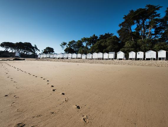 Plage des Dames - Noirmoutier en l'île plage des dames noirmoutier