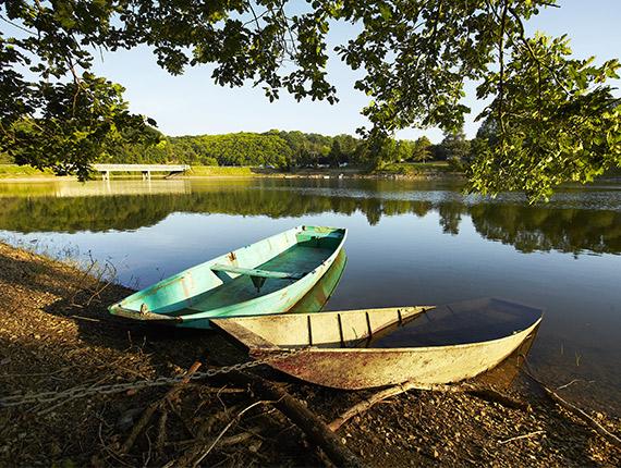 Barques dans la forêt de Mervent Barques dans la forêt de Mervent