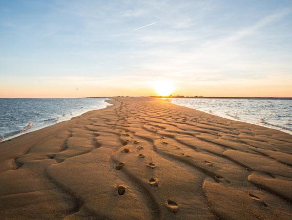 Coucher de soleil sur la Pointe de l'Aiguillon pointe de l'aiguillon réserve naturelle vendée