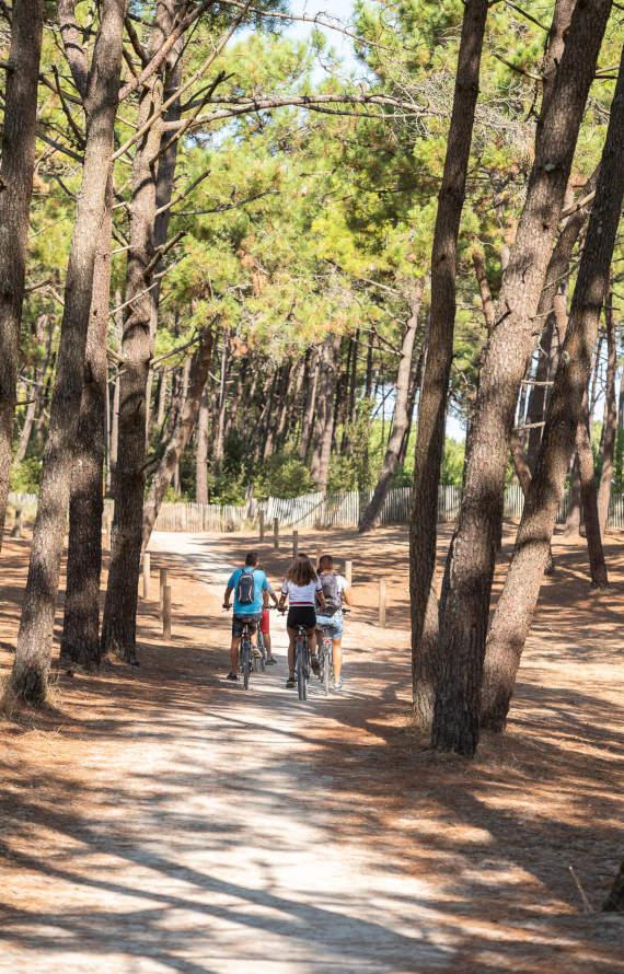 Vélo à la Faute sur Mer Vélo à la Faute sur Mer