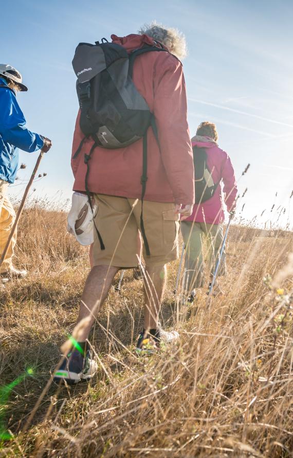 Marche à pied en Vendée Marche à pied en Vendée
