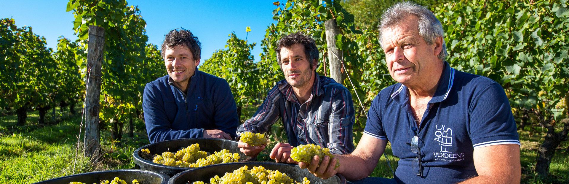 Domaine de la Barbinière Chantonnay Bocage vendéen Vendée Vallée