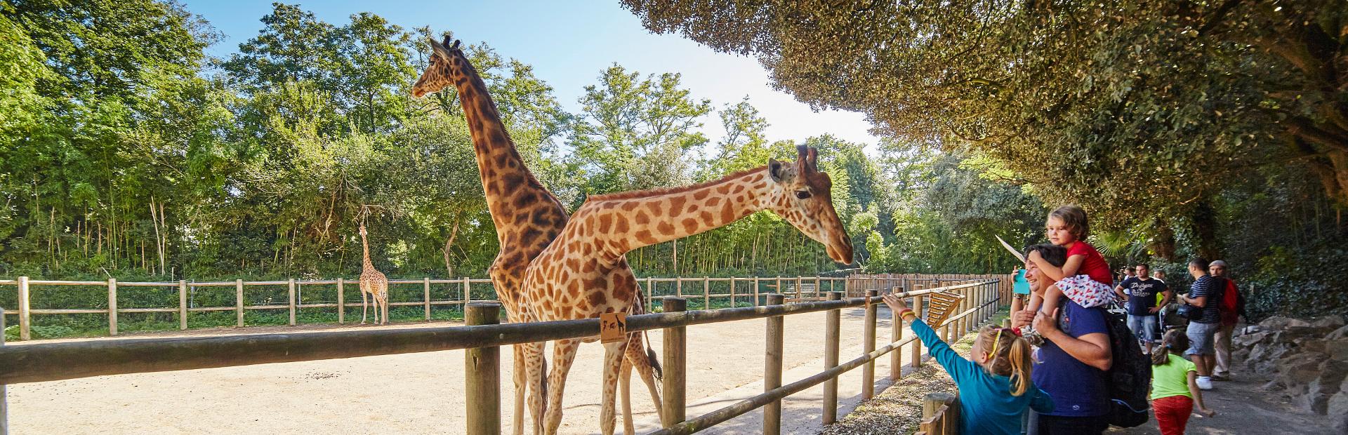 Partez en vacances aux Sables d'Olonne et ses alentours Zoo Les Sables d'Olonne