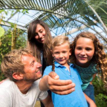 L'île aux Papillons en famille à l'Épine